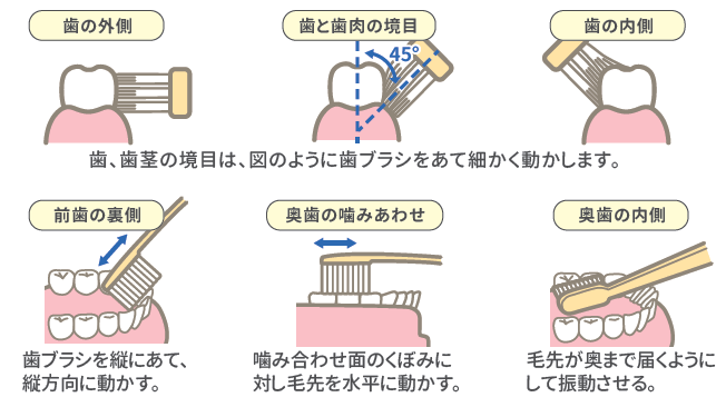 歯ブラシの手順