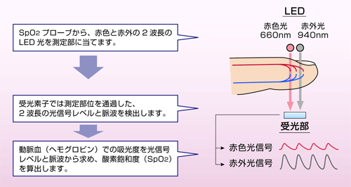 赤色光と赤外光の透過によって酸素飽和度を求めるパルスオキシメータの測定原理