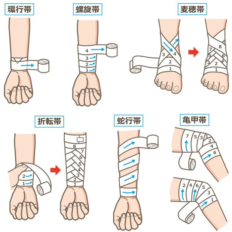 包帯の種類×部位別完全ガイド~看護現場で活かせる圧迫・固定のノウハウ - しごとレトリバーガイド