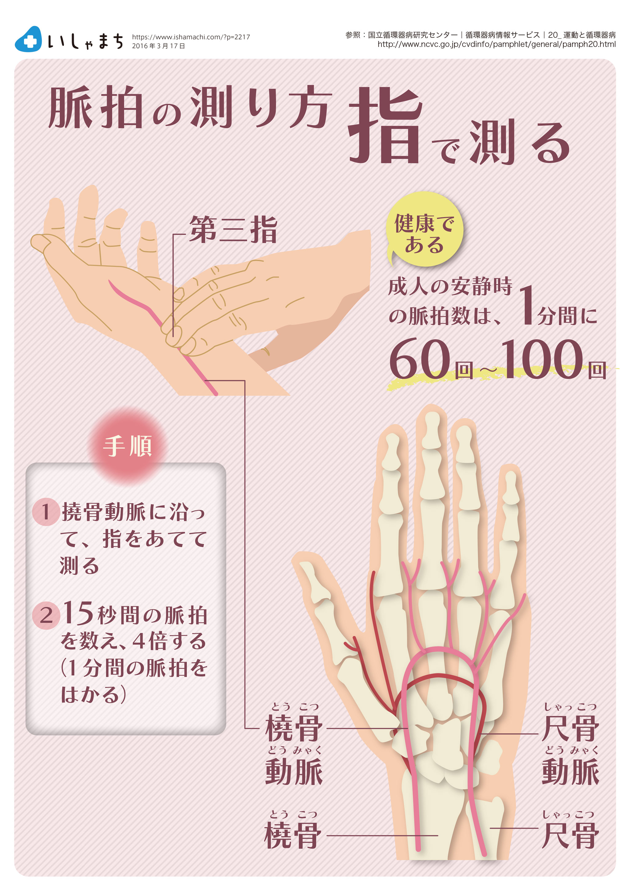 橈骨動脈での脈の測り方