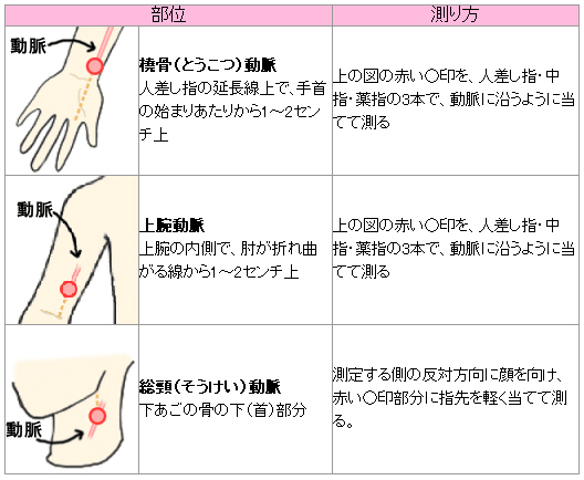 脈拍 測定 方法
