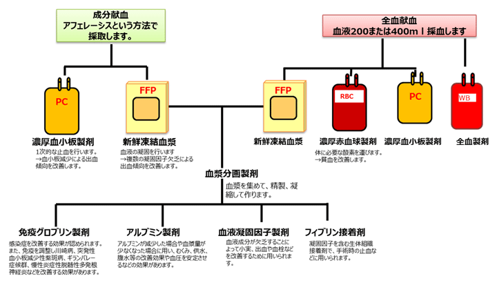 血液製剤の種類一覧