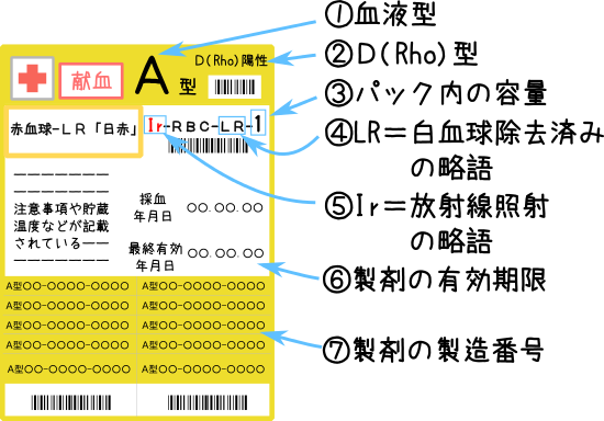 輸血パックに書かれている情報
