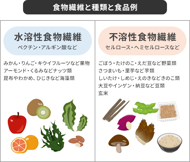 食物繊維