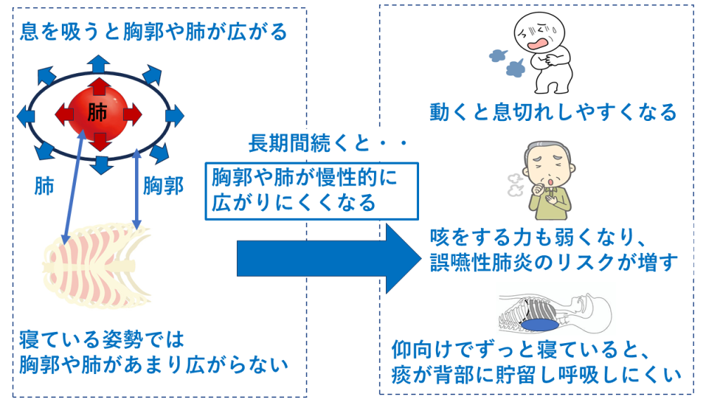 廃用症候群　呼吸