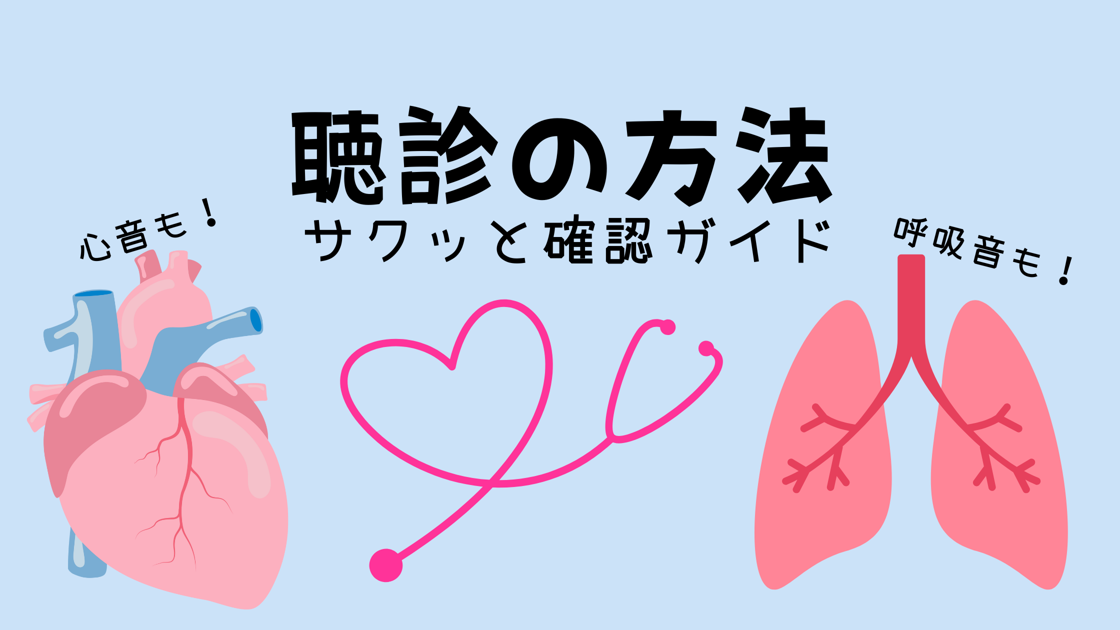 聴診の方法 💖 看護師さんのためのサクッと確認ガイド