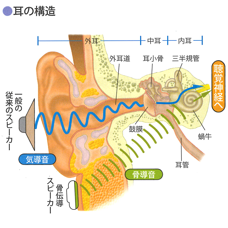 空気伝導　骨伝導