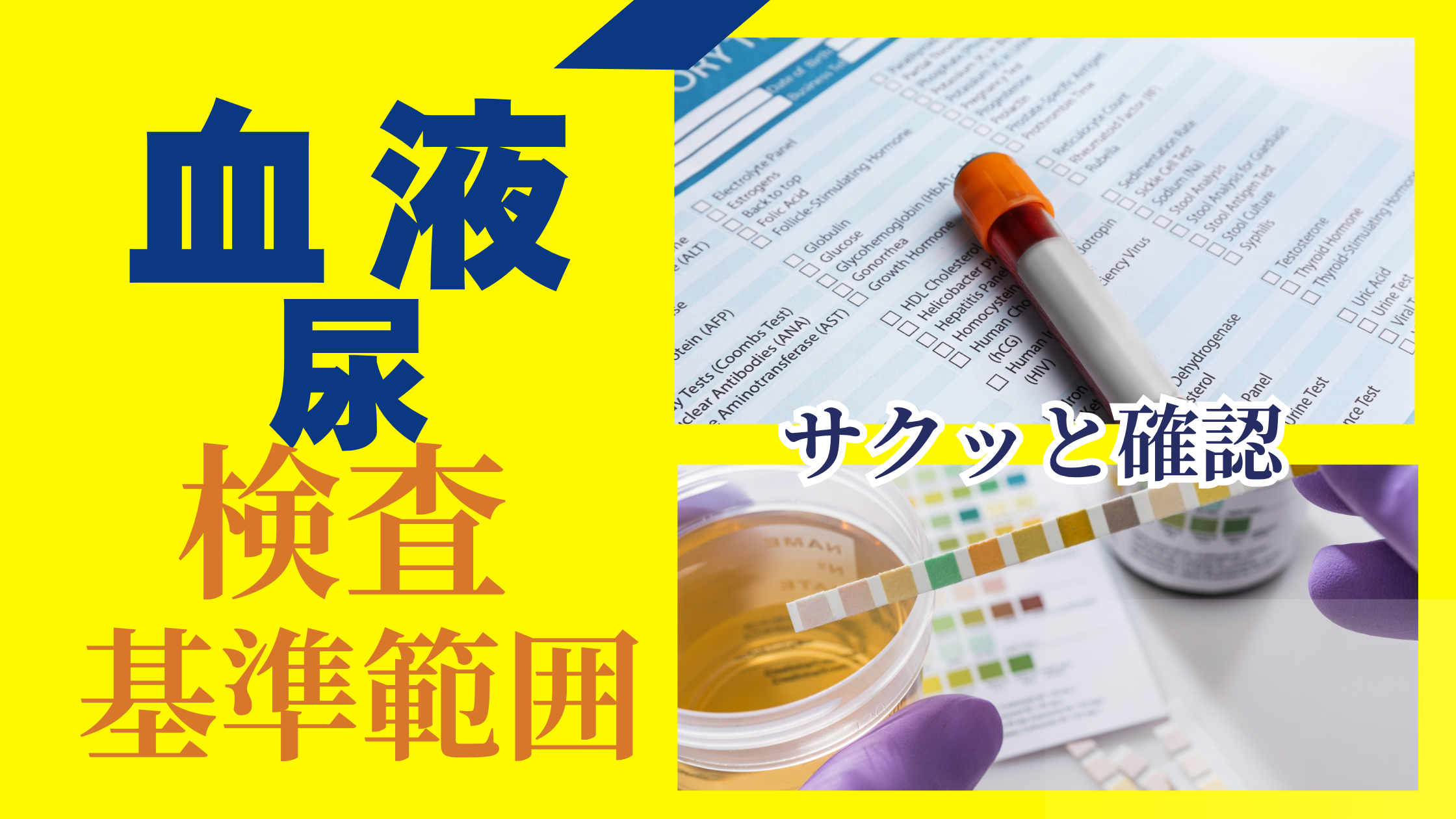 血液・尿検査の基準範囲をサクッと確認🌟