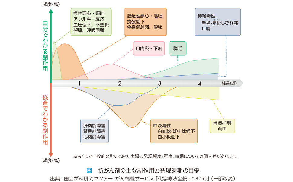 化学療法 副作用 肺癌