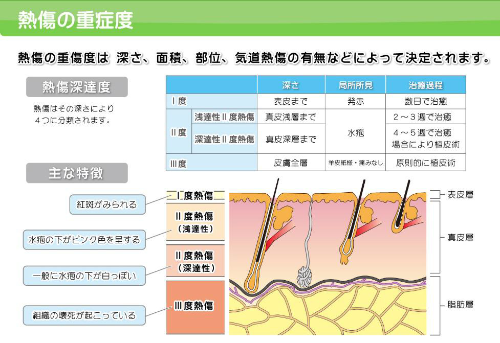 熱傷の深度