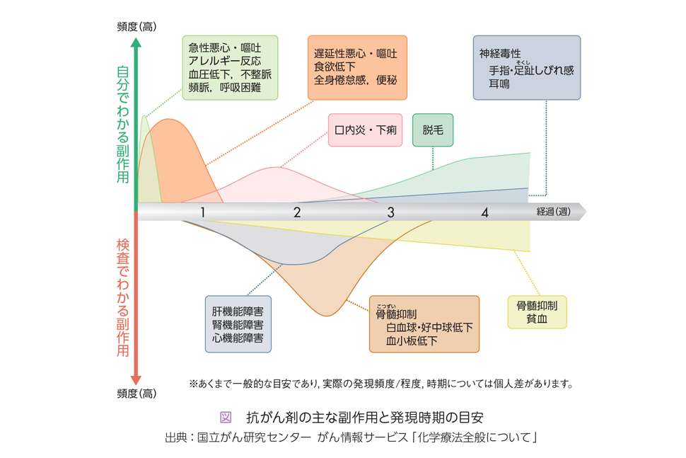 化学療法 副作用 副反応