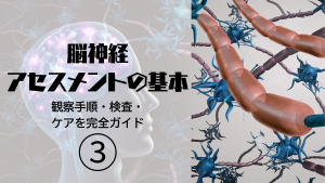 脳神経アセスメントの基本🩺｜ベッドサイドで使える観察手順・検査・ケアを完全ガイド