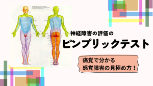 痛覚で分かる感覚障害の見極め方！