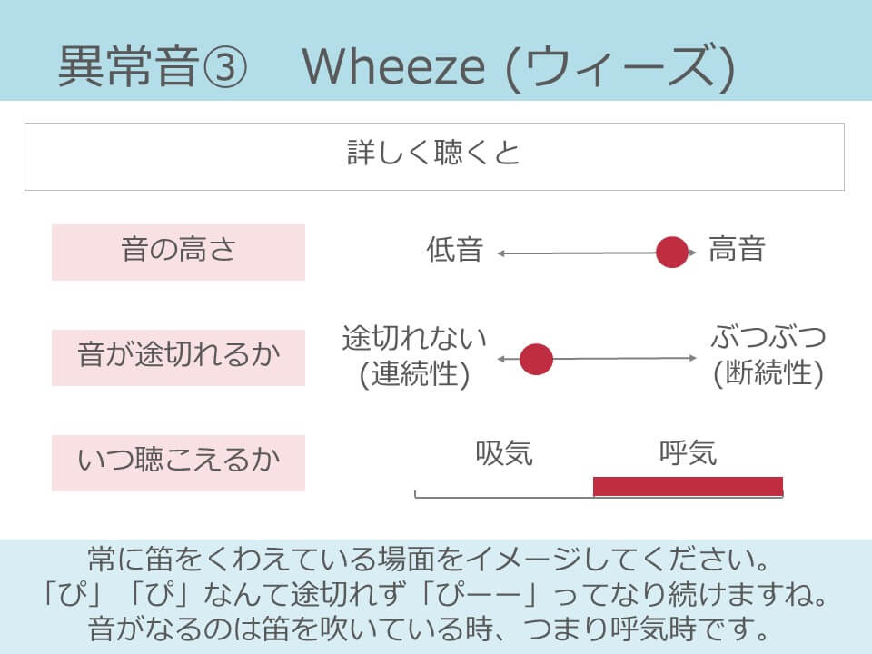 ウィーズ呼吸音