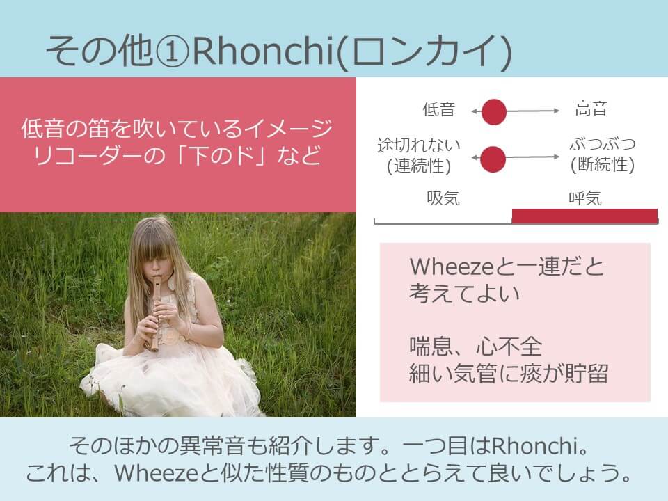呼吸音 ロンカイ