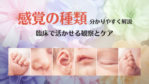 感覚の種類 臨床で活かせる観察とケア