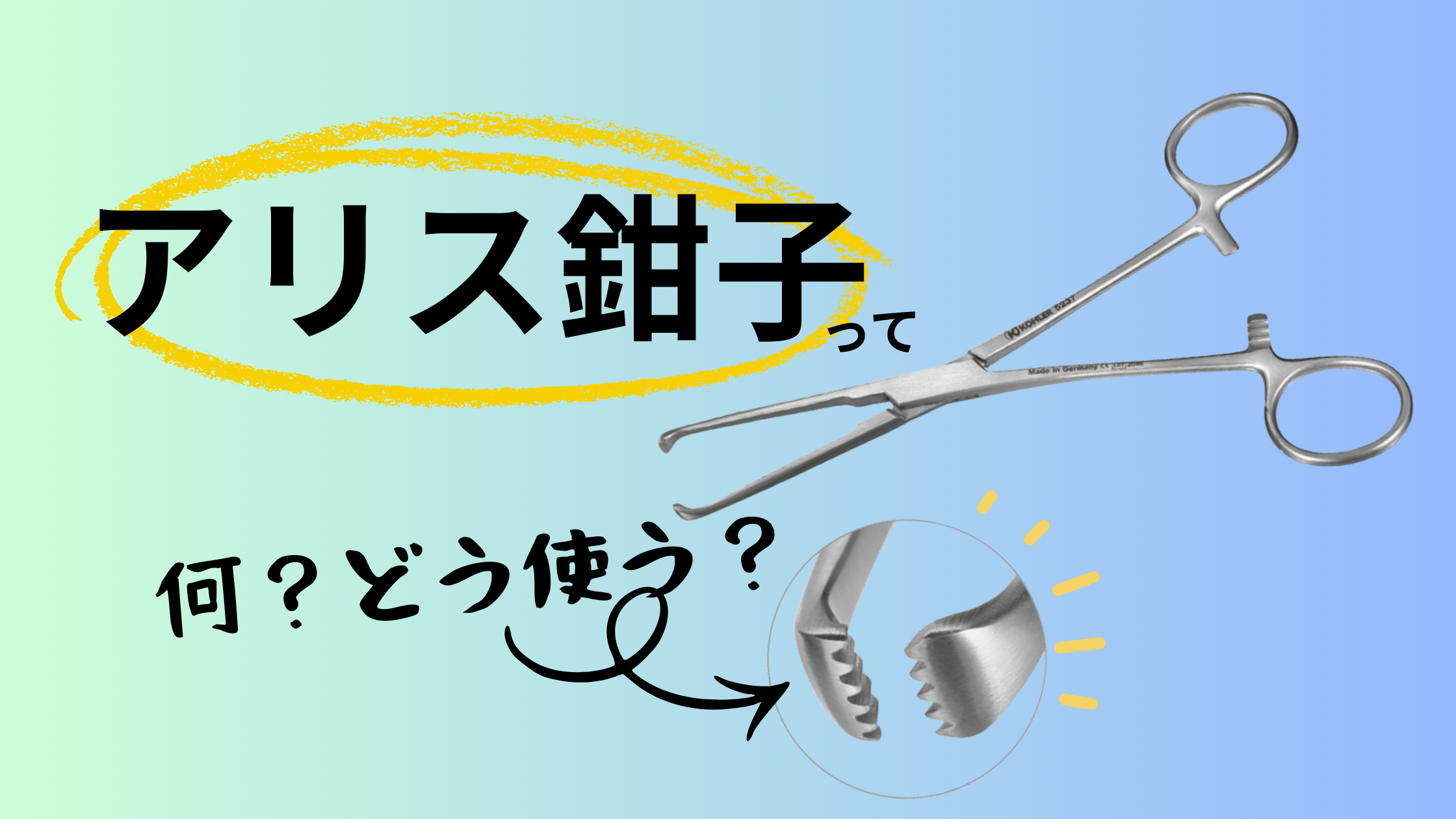 アリス鉗子とは何？歯付き鉗子の特徴をやさしく解説