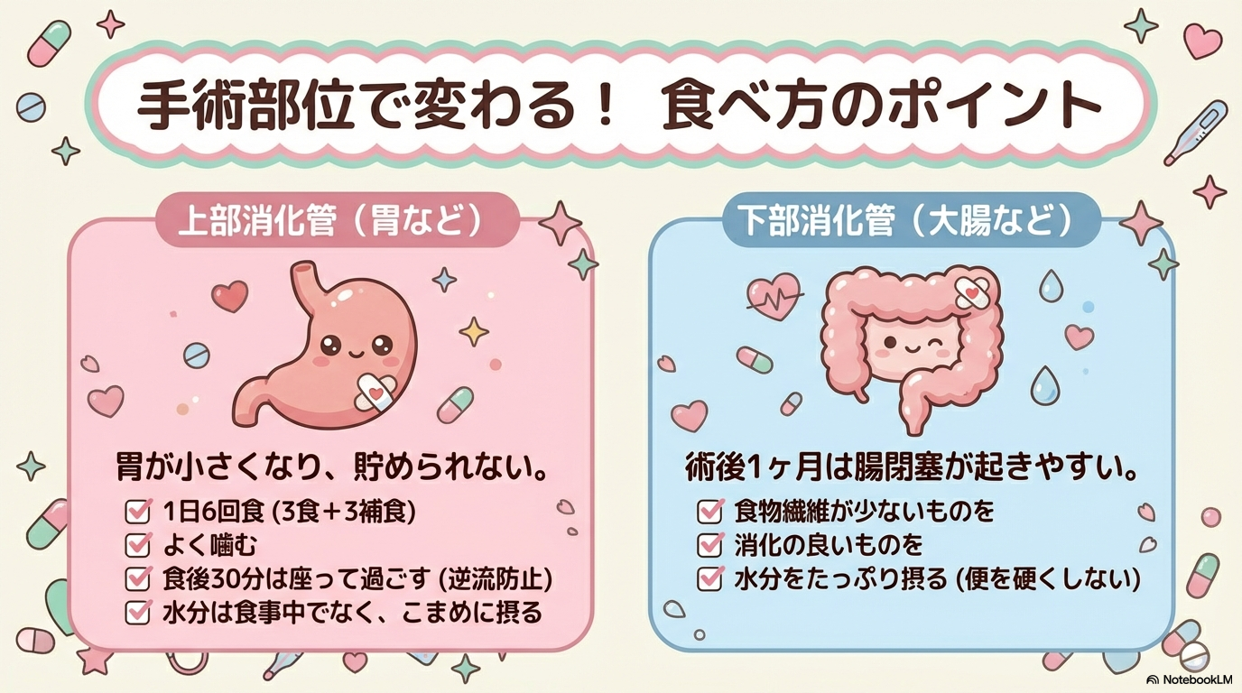 消化管術後 絶食 食事開始 ポイントまとめ