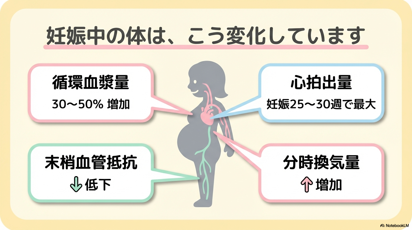 妊娠期の生理的変化 バイタルサイン