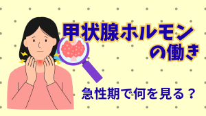 甲状腺ホルモンの働き【急性期で急変を見抜く看護ポイント】