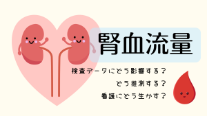 腎血流量とは？尿量・Cr低下から考える看護の視点