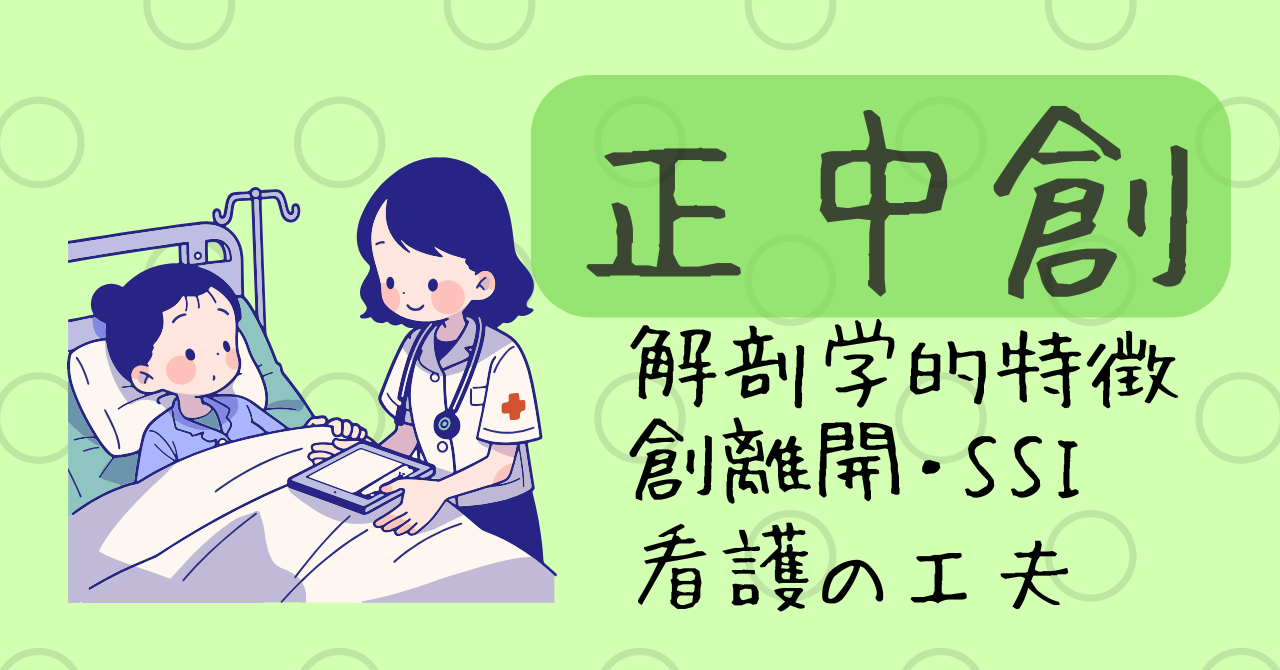正中創の観察ポイントは？創離開・SSIを防ぐ看護
