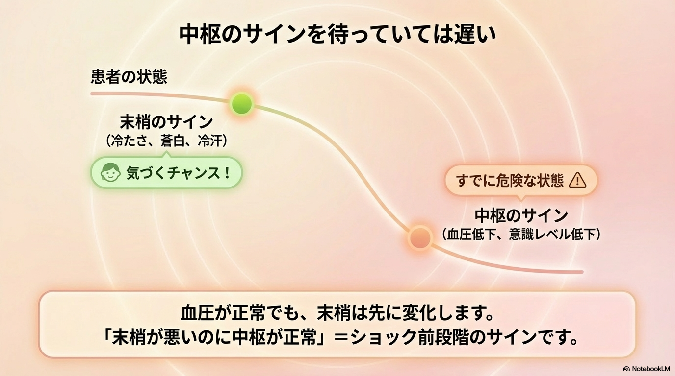 末梢 観察 中枢