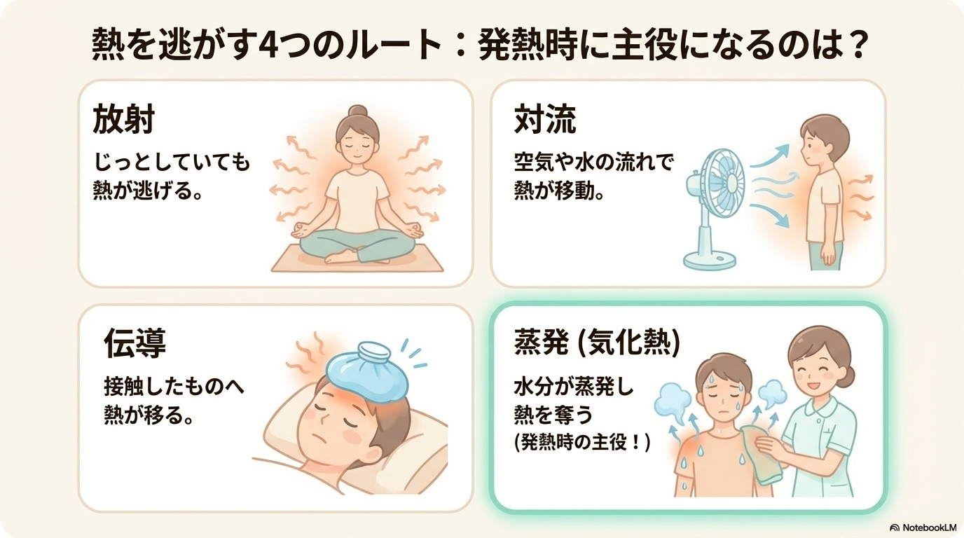  種類 仕組み 例 放射 周囲に熱を放つ じっとしていても熱が逃げる 伝導 接触したものへ熱が移る 氷枕で冷やす 対流 空気や水の流れで熱が移動 風に当たると涼しい 蒸発（気化熱） 水分が蒸発し熱を奪う 汗・清拭