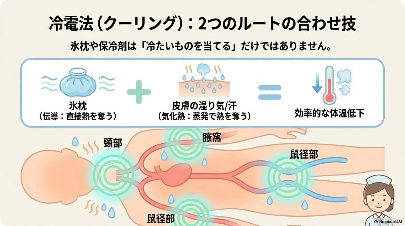 冷罨法は「冷たいもので体を冷やす」ケアですが、ここにも複数の熱移動が関わります。 氷枕 → 伝導（直接熱を奪う） 汗・湿り気 → 気化熱（蒸発で冷却） 特に発熱時は、伝導＋気化熱の組み合わせで効率よく体温を下げています。 また、冷却部位（頸部・腋窩・鼠径部）は血流が豊富なため、熱を逃がしやすいのもポイントです。
