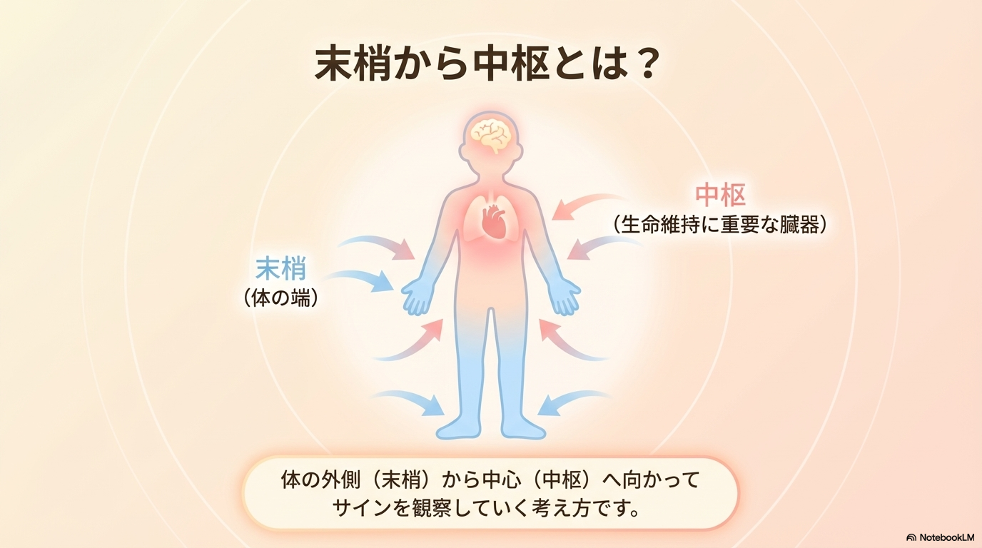 抹消から中枢 看護