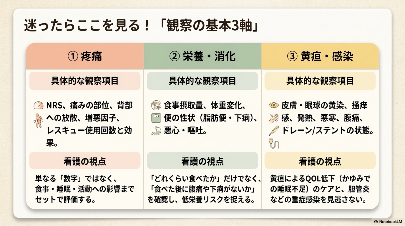 膵がん　観察　アセスメント