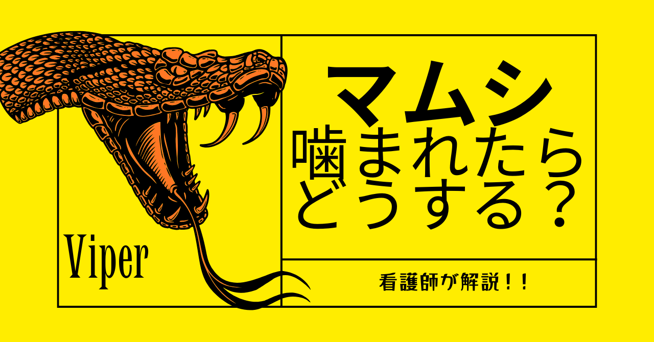 マムシに噛まれた跡は？見た目と危険サインを看護師が解説