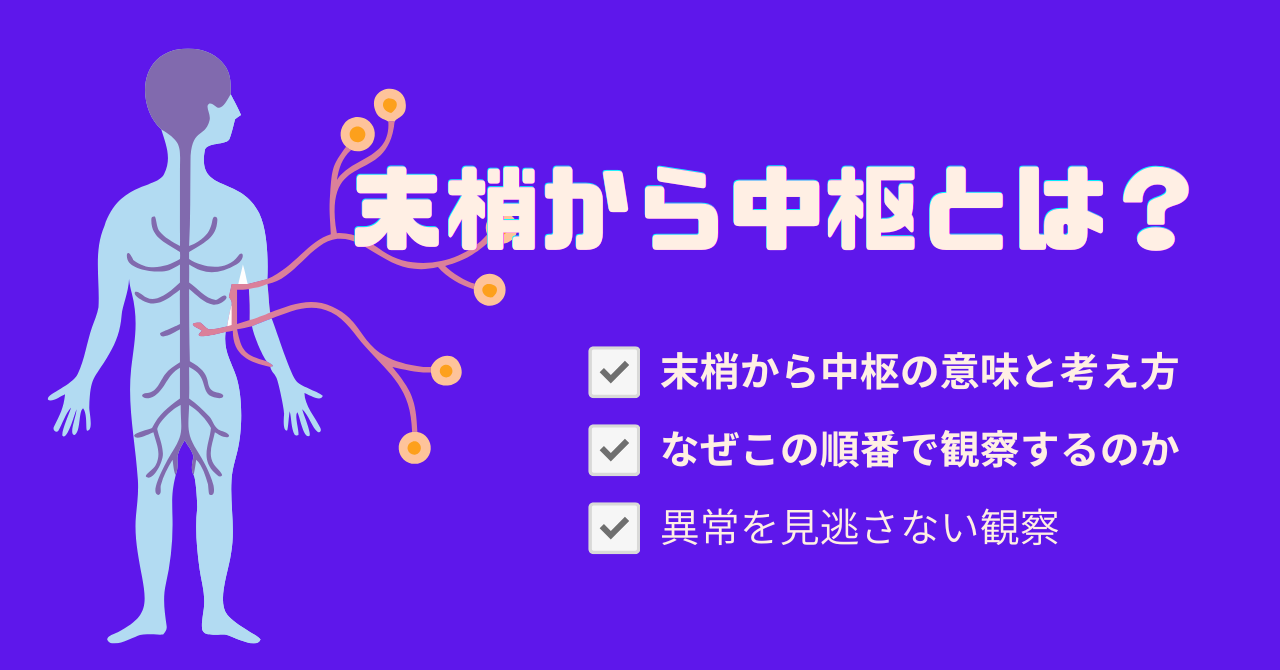 末梢から中枢とは？意味と看護での使い方をやさしく解説