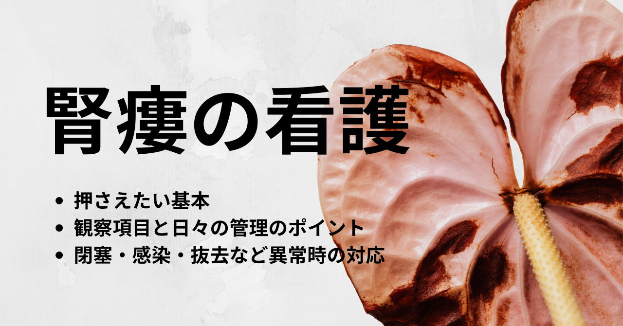 腎瘻看護とは？観察項目・管理・異常時対応をやさしく解説 - しごと 