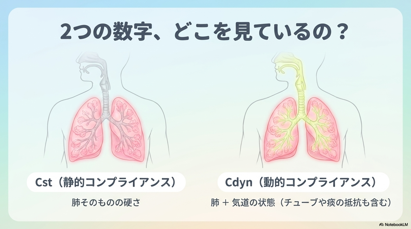 肺コンプライアンス