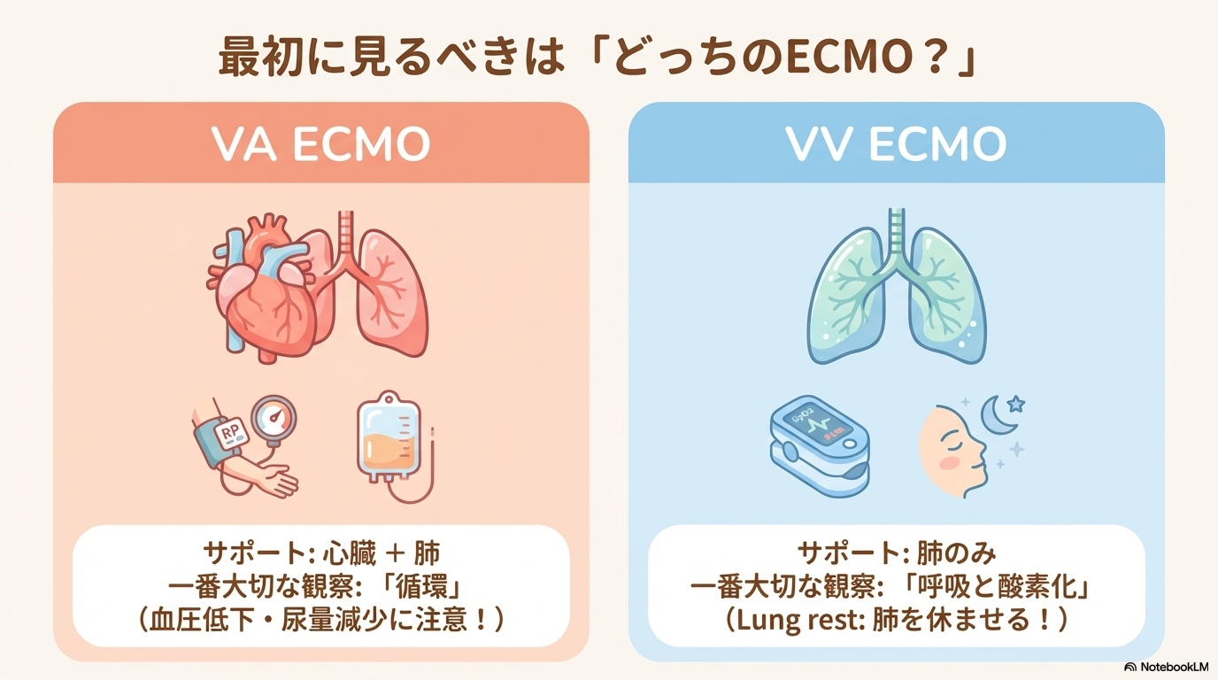 VA ECMOとVV ECMOの違い