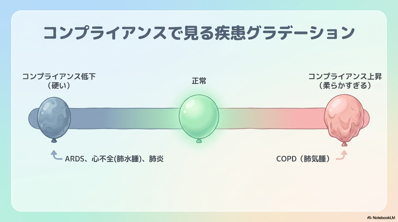 肺コンプライアンス