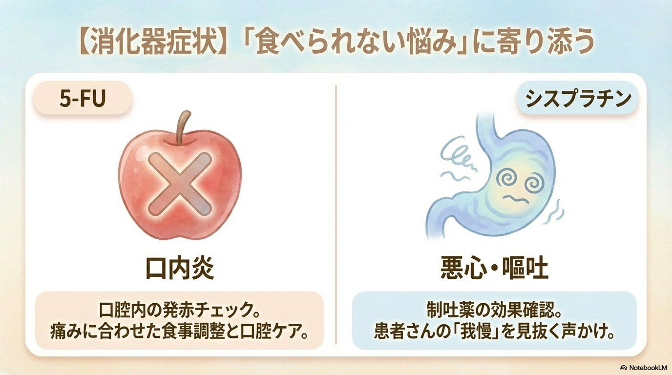 FP療法の副作用と看護のポイント

FP療法で看護師が最も意識するべきなのが、副作用の管理です。

副作用は患者さんのQOLや治療継続に直結するため、早期発見と対応がとても重要になります🩺

主な副作用一覧
副作用	原因薬剤	看護ポイント
骨髄抑制	5-FU・シスプラチン	発熱・感染兆候の観察、血液データ確認
腎障害	シスプラチン	尿量・Cr・水分バランスの管理
口内炎	5-FU	口腔ケア・食事状況の確認
悪心・嘔吐	主にシスプラチン	制吐薬の効果確認・食事摂取量の観察

骨髄抑制（感染リスク）

FP療法では白血球・好中球の低下が起こりやすく、感染リスクが高まります。

特に注意するポイントは

発熱（37.5℃以上など）
咳・痰・創部の発赤
倦怠感の増強

です。

「いつもと違う」が重要なサインなので、小さな変化も見逃さないことが大切です。

---

腎障害（シスプラチン）

シスプラチンは腎臓に負担をかける薬剤です。

そのため、

尿量（1日量・時間尿）
クレアチニン（Cr）
体重変化

をしっかり確認します。

また、補液がしっかり入っているかの確認も重要で、

「水分管理＝腎機能を守るケア」になります。

---

口内炎・消化器症状（5-FU）

5-FUでは口内炎や下痢などの消化器症状が出やすくなります。

特に口内炎は食事摂取に大きく影響するため、

口腔内の観察（発赤・びらん）
食事摂取量
痛みの有無

をチェックします。

必要に応じて口腔ケアの強化や食事形態の調整も行います。

---

悪心・嘔吐（シスプラチン）

シスプラチンは高度催吐性抗がん剤に分類され、吐き気が強く出ることがあります。

そのため、

制吐薬の効果確認
食事摂取状況
脱水の兆候

を観察します。

患者さんは「言い出せず我慢している」ことも多いので、こちらから声をかけることも大切です😊