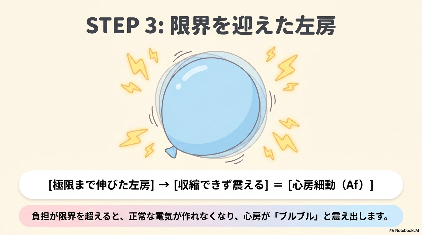 僧帽弁閉鎖不全症の心電図変化