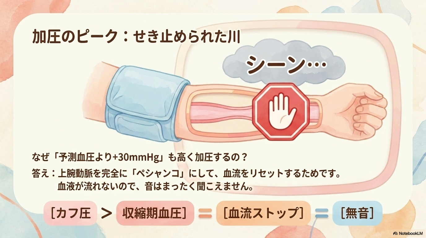 コロトコフ音　血圧測定