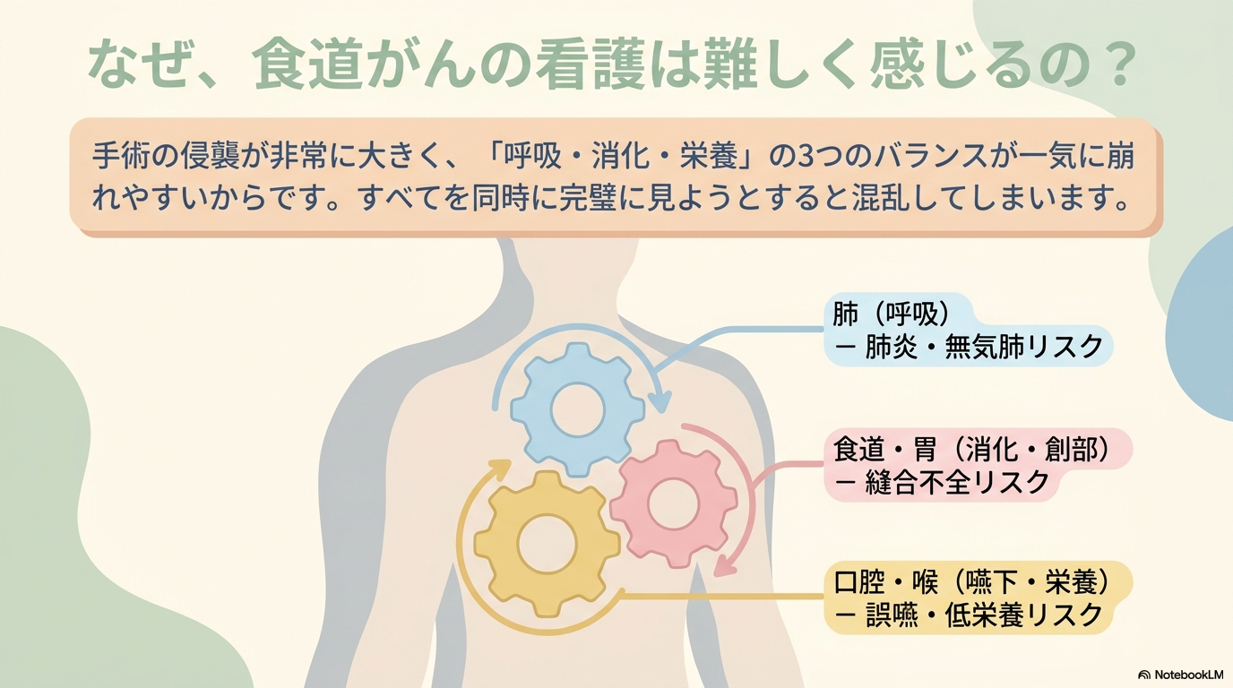 食道がんの治療と看護