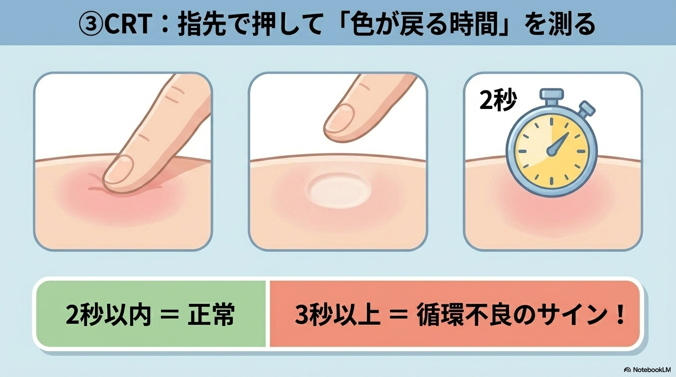 毛細血管再充満時間（CRT）の評価方法