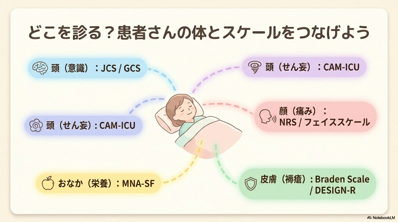 看護スケール一覧