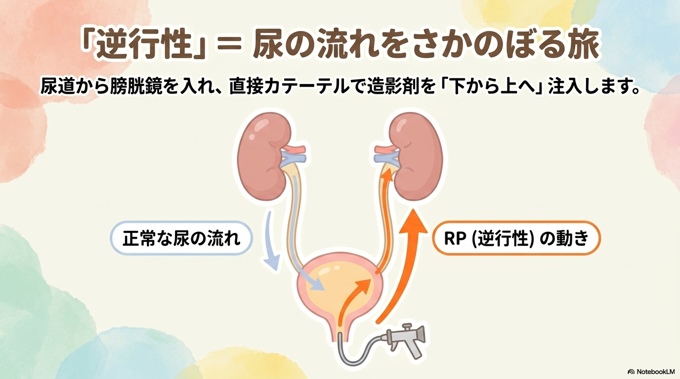 rp medical