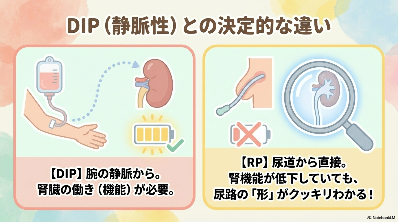 逆行性腎盂造影(RP)とDIP・CTとの違い