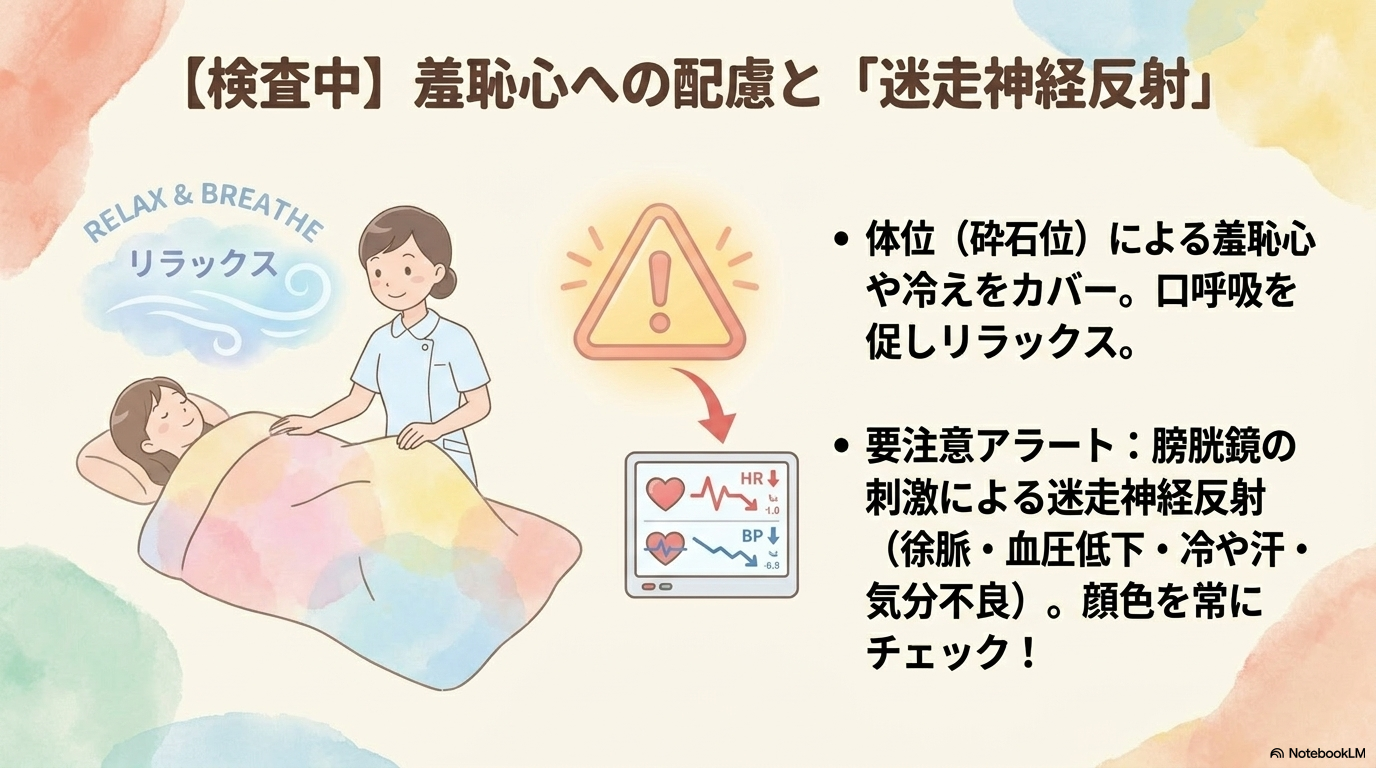 逆行性腎盂造影(RP)