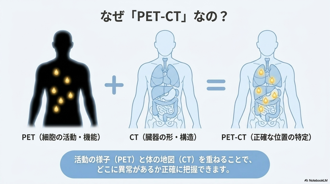 PET検査の意味とFDGの仕組み