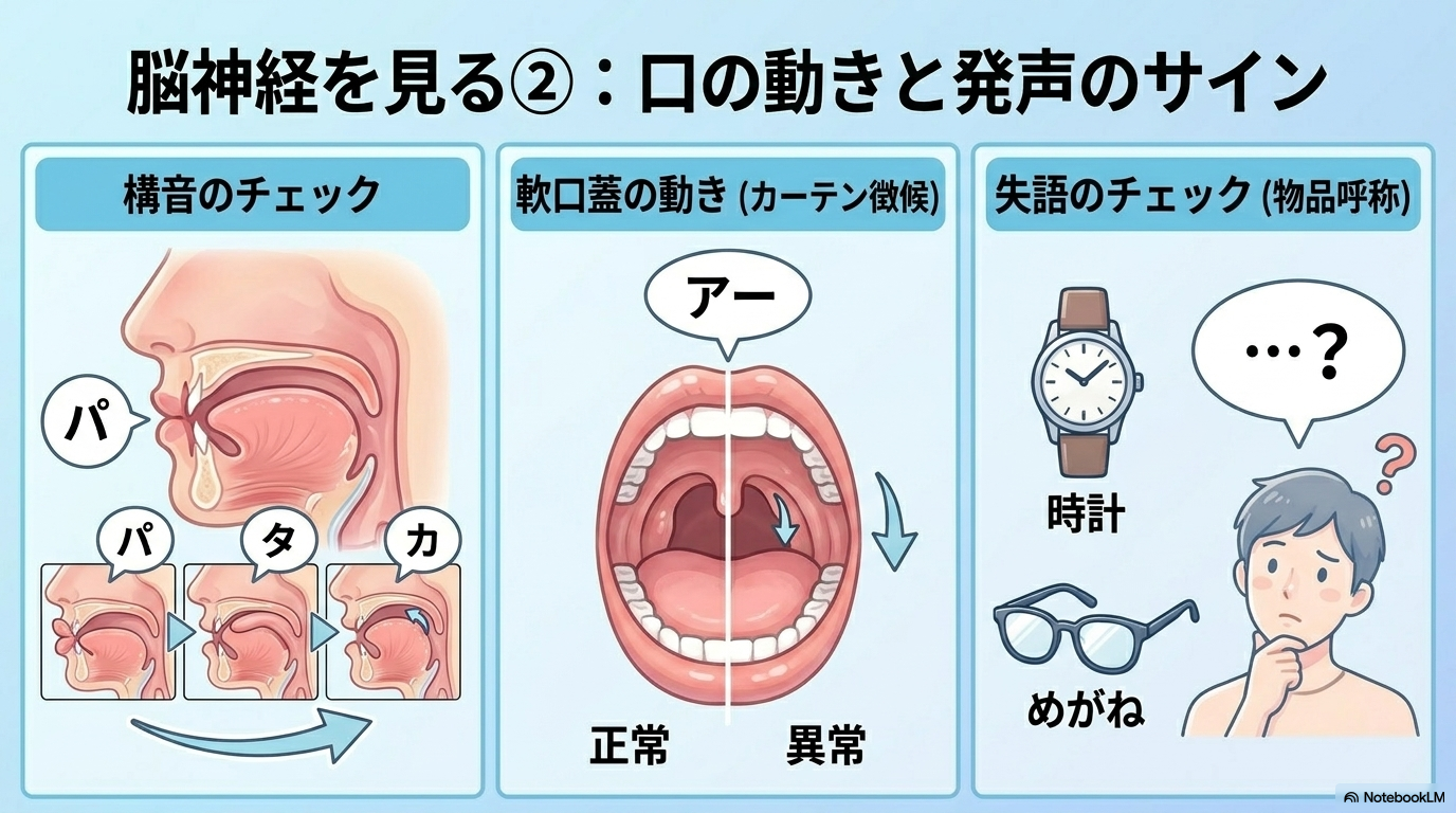 神経学的所見