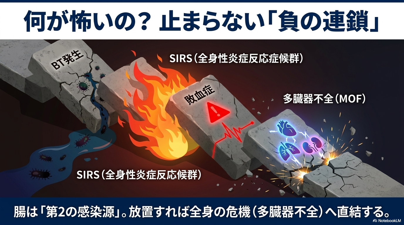 バクテリアルトランスロケーション