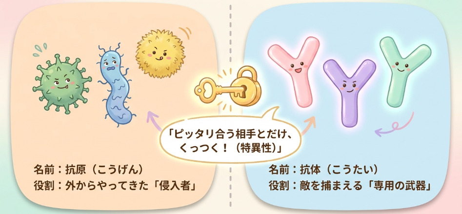 抗原抗体反応